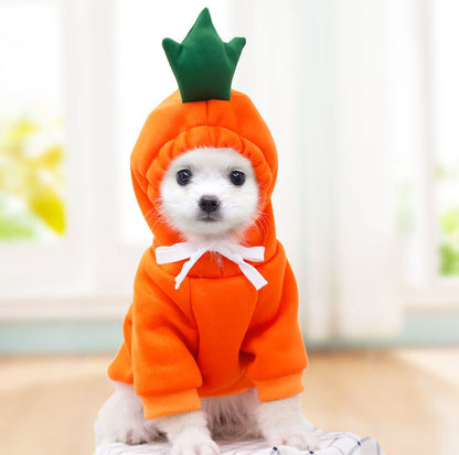 Fruit-Print Pet Hoodie