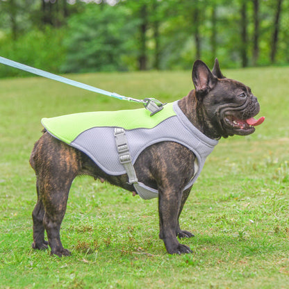 Lightweight Polyester Dog Vest