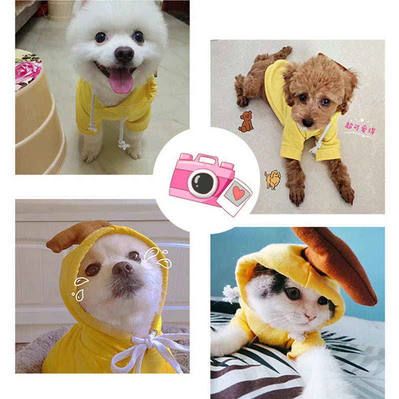 Fruit-Print Pet Hoodie