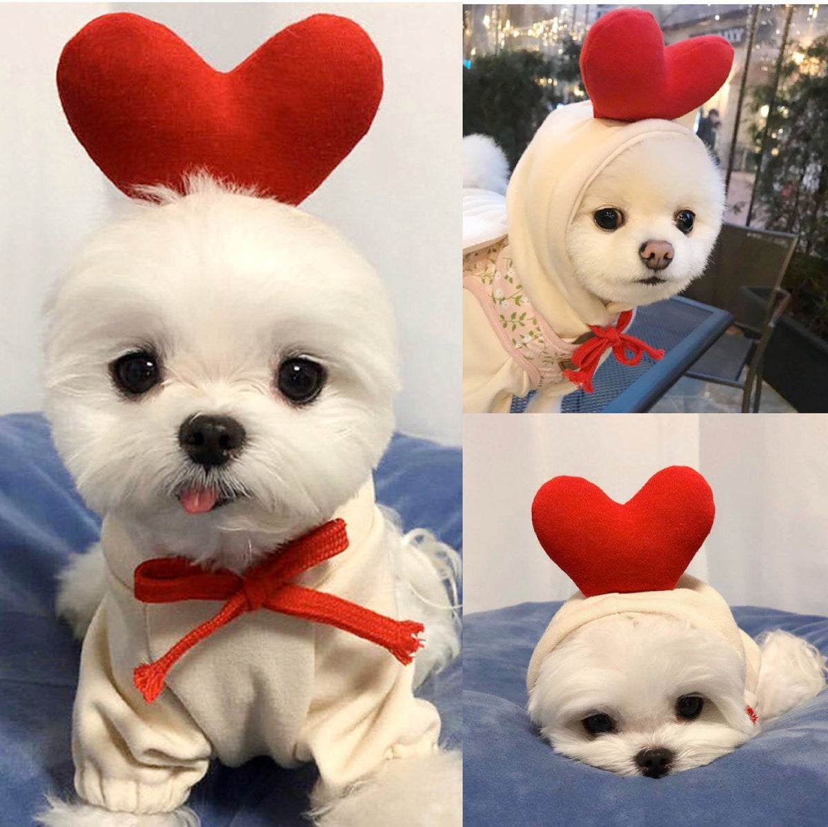 Fruit-Print Pet Hoodie