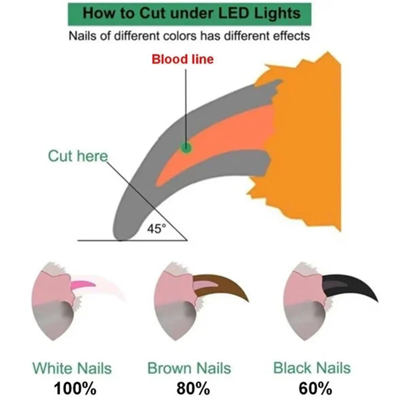 LED Pet Nail Clippers with Nail File