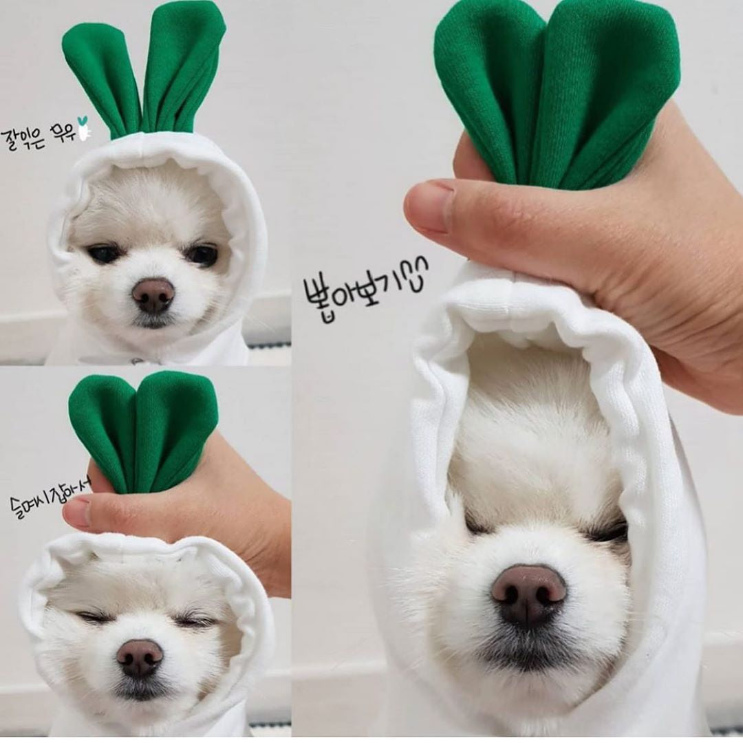 Fruit-Print Pet Hoodie